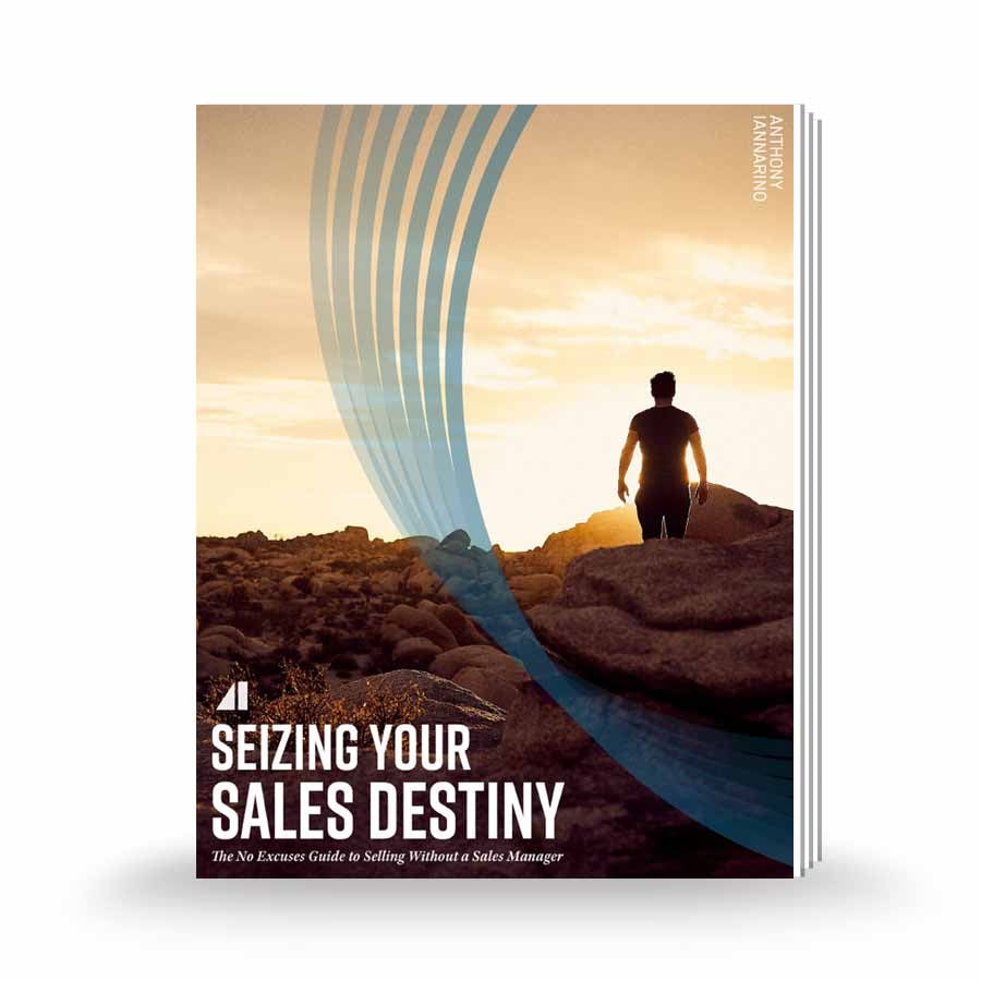 get the seizing your sales destiny ebook